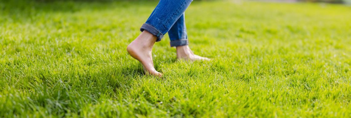 A person is walking barefoot on a lush green yard.