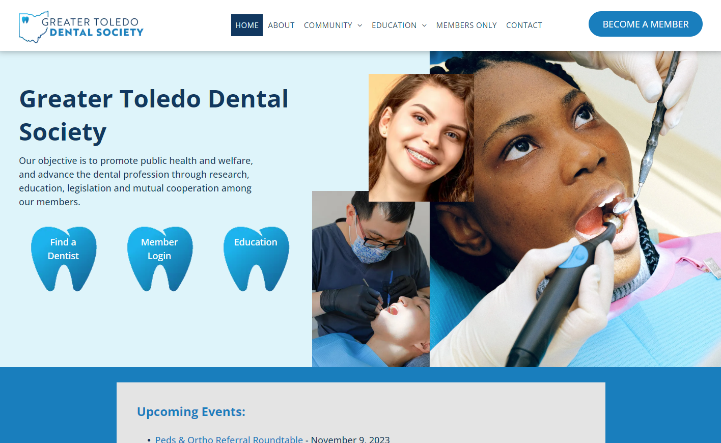 Toledo Dental Society Website
