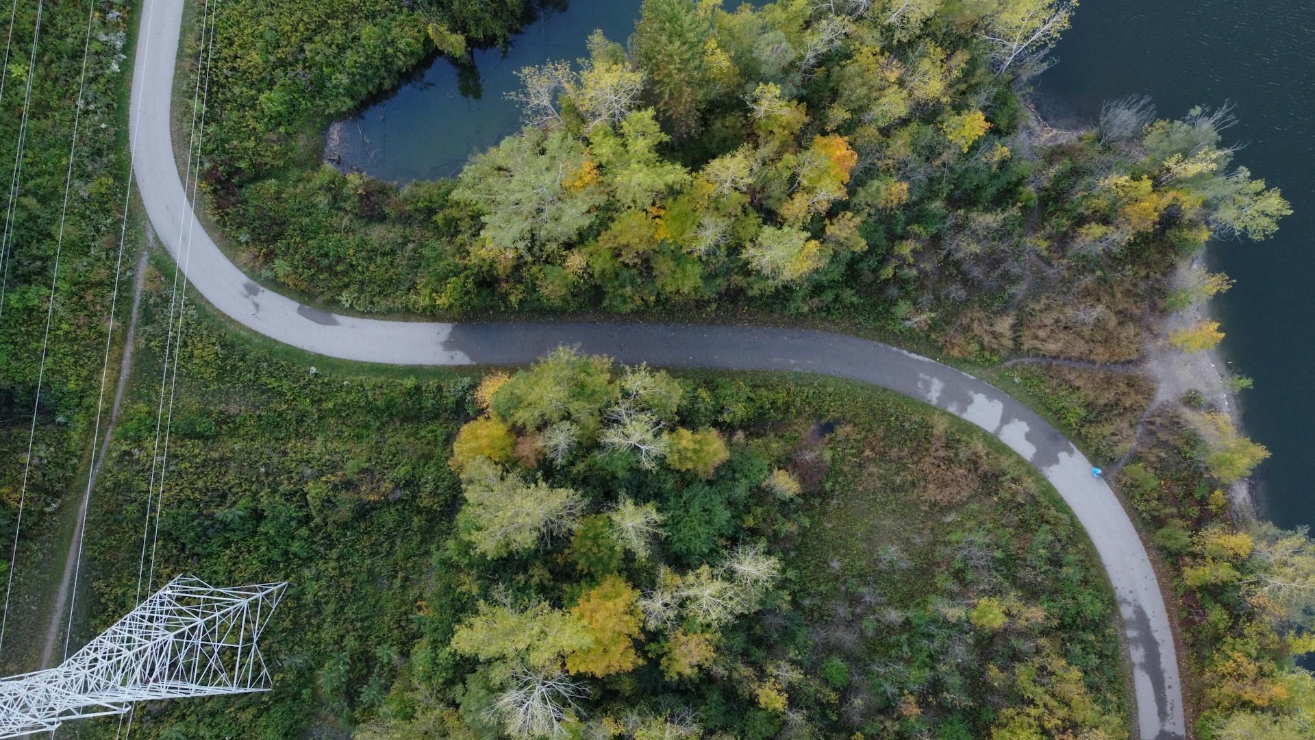 An aerial view of a road going through a forest next to a lake.
