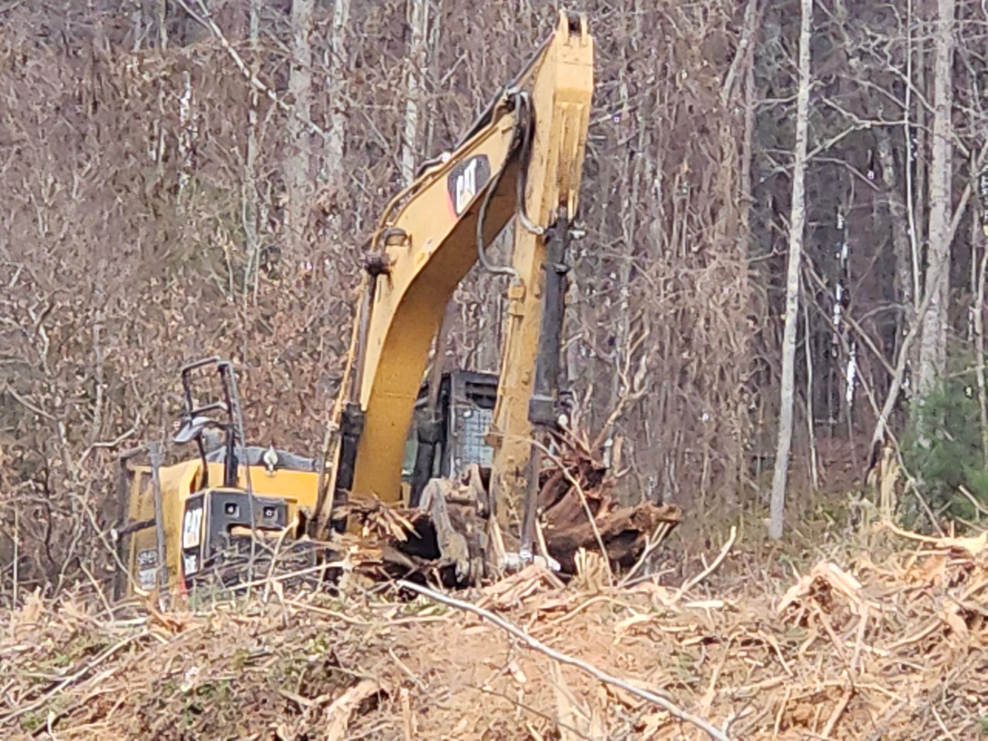 A large yellow excavator is sitting in the middle of a forest.