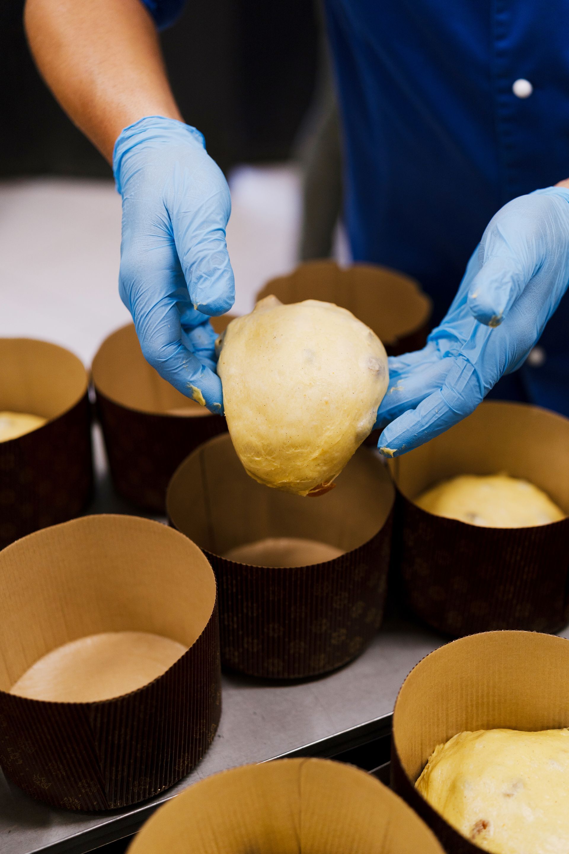 impasto di un panettone artigianale negli stampi