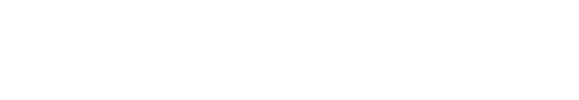 Valley Station Logo