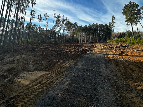 A dirt road going through a forest with trees in the background