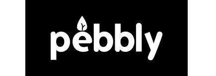 Het woord 'kiezelsteen' staat in het wit op een zwarte achtergrond.