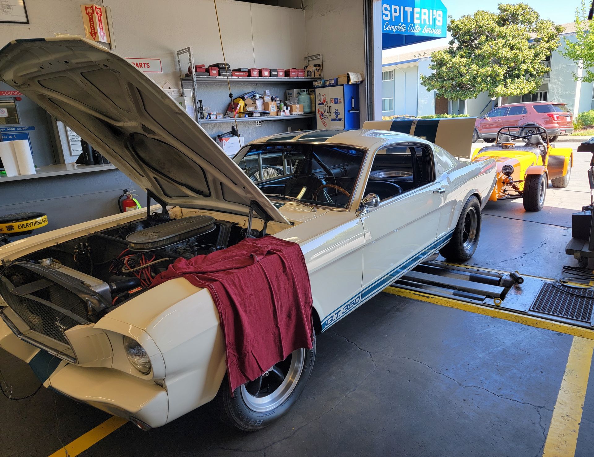 White classic Mustang with open hood in a shop, blue stripe, red cloth on fender, other cars in background. | Spiteri's Auto Service