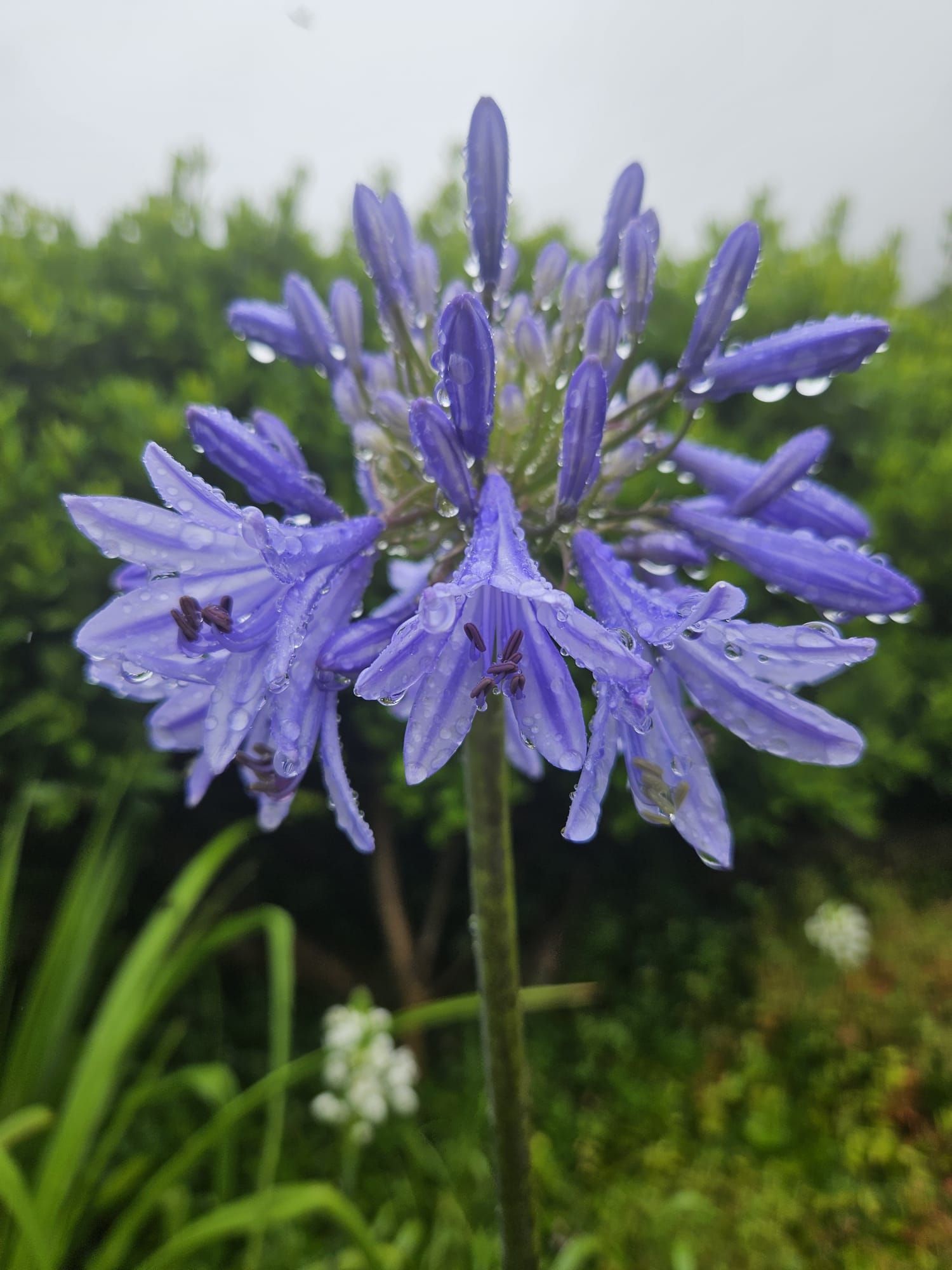 קורסים הנפתחים בדצמבר 2025