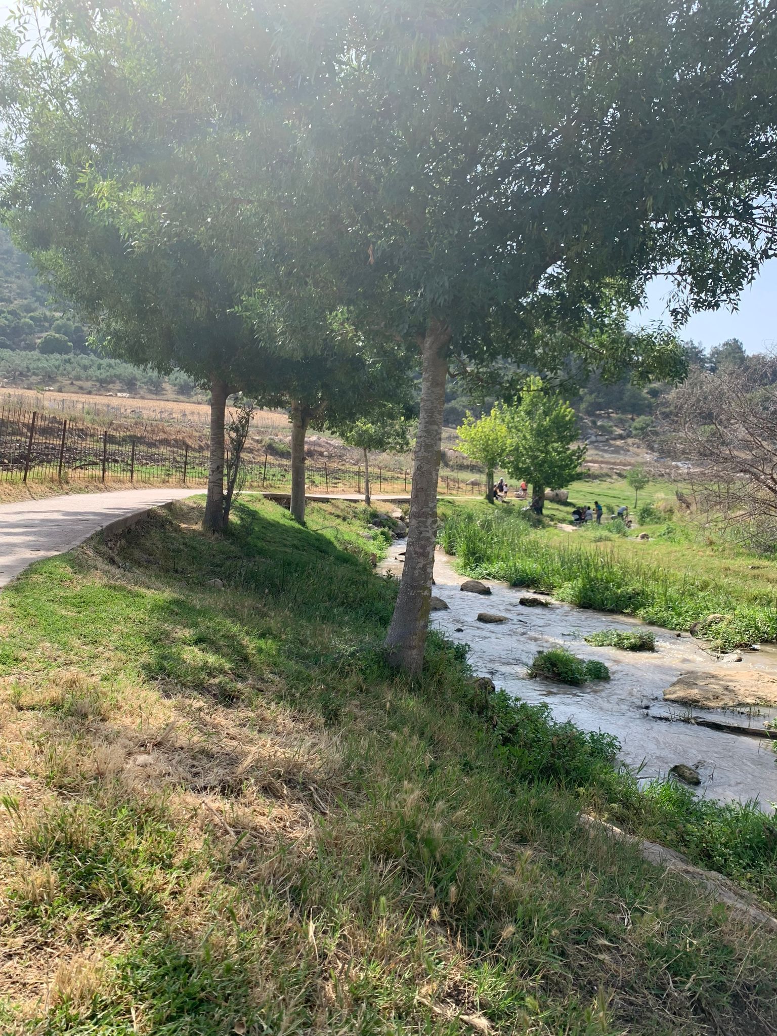 קורסים הנפתחים באוקטובר 2025