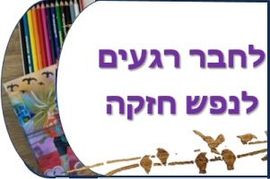 כרמית לייבוביץ - יומן ויזואלי