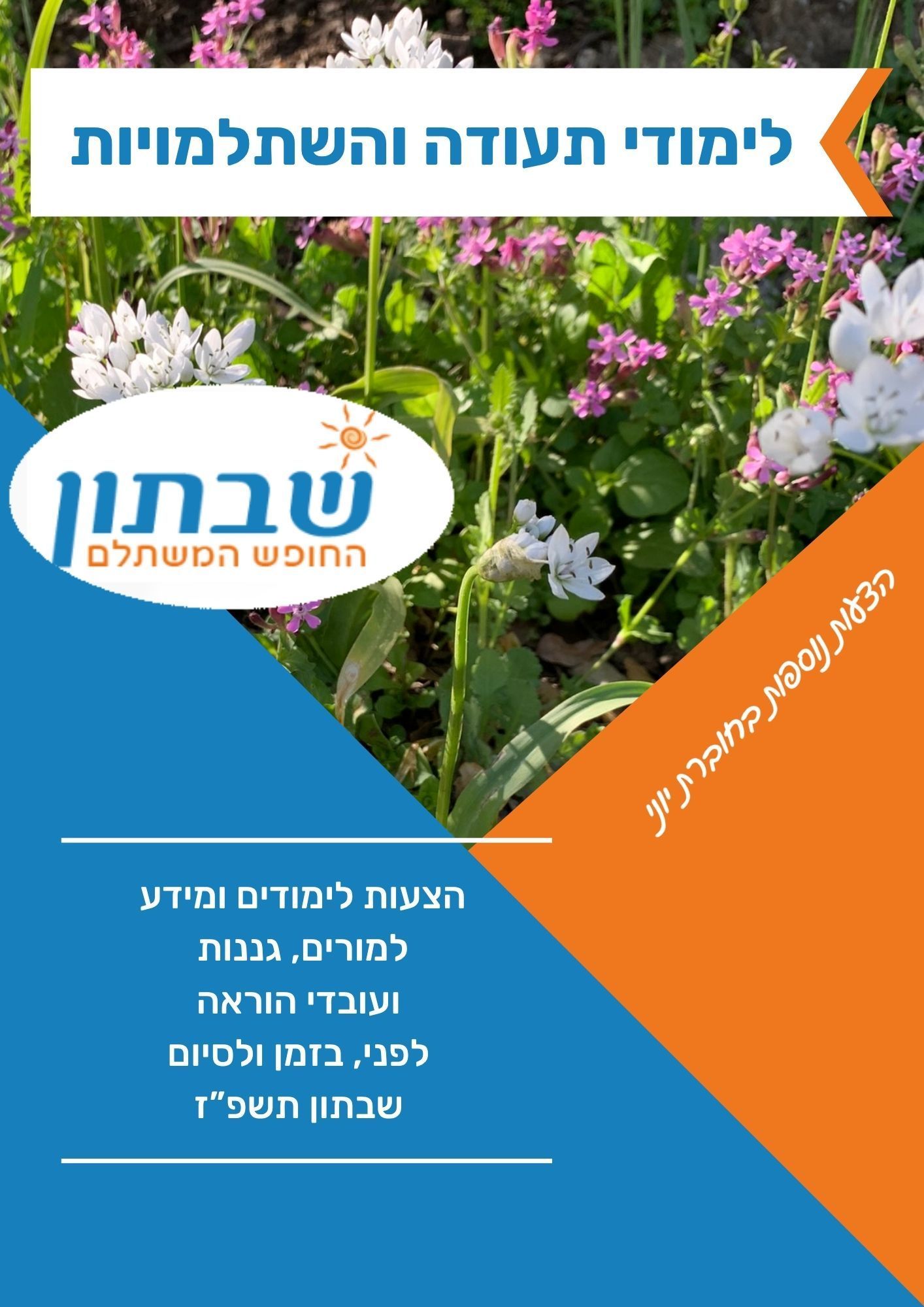 לימודי תעודה והשתלמויות מורים