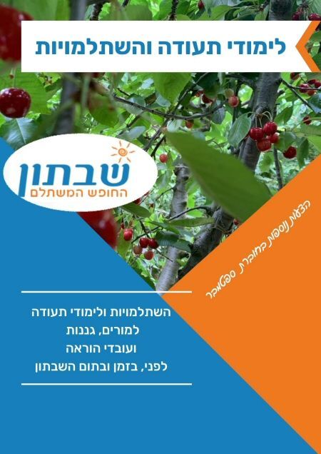 לימודי תעודה והשתלמויות מורים