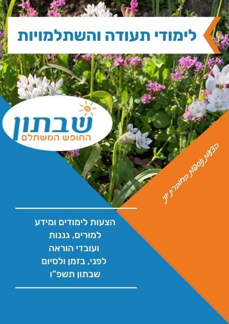 לימודי תעודה והשתלמויות מורים