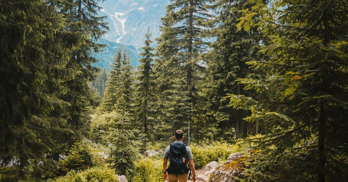 קורסי טיולים וסיורים