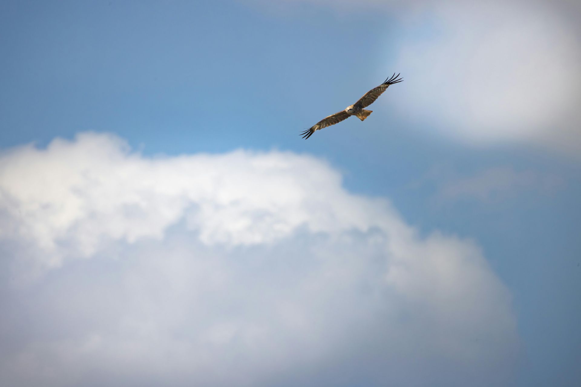 קורסים הנפתחים בינואר 2026