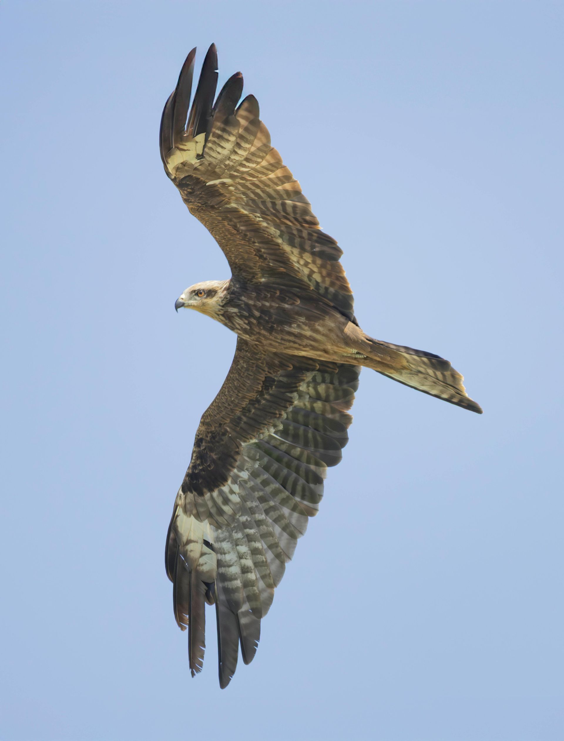 קורסים הנפתחים בדצמבר 2026