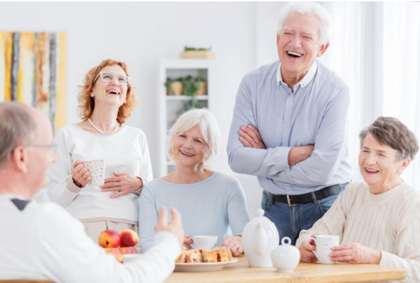 הכשרת מנחים לבני הגיל השלישי - מכללת תלפיות