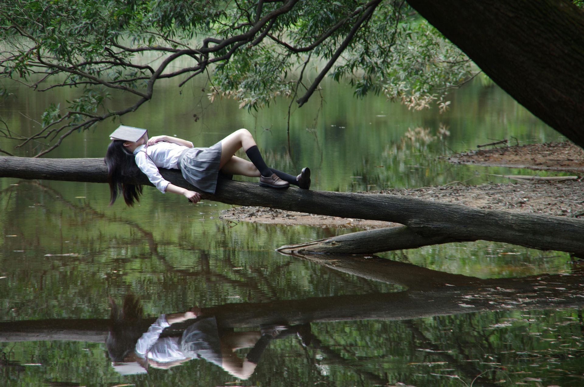 森林浴促进免疫系统