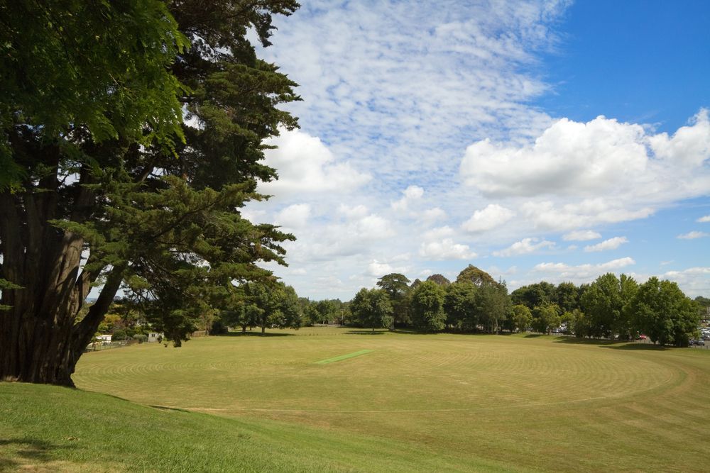 A Large Grassy Field With Trees In The Background And A Blue Sky With Clouds  — All Hours Vac Truck In Yeppoon, QLD