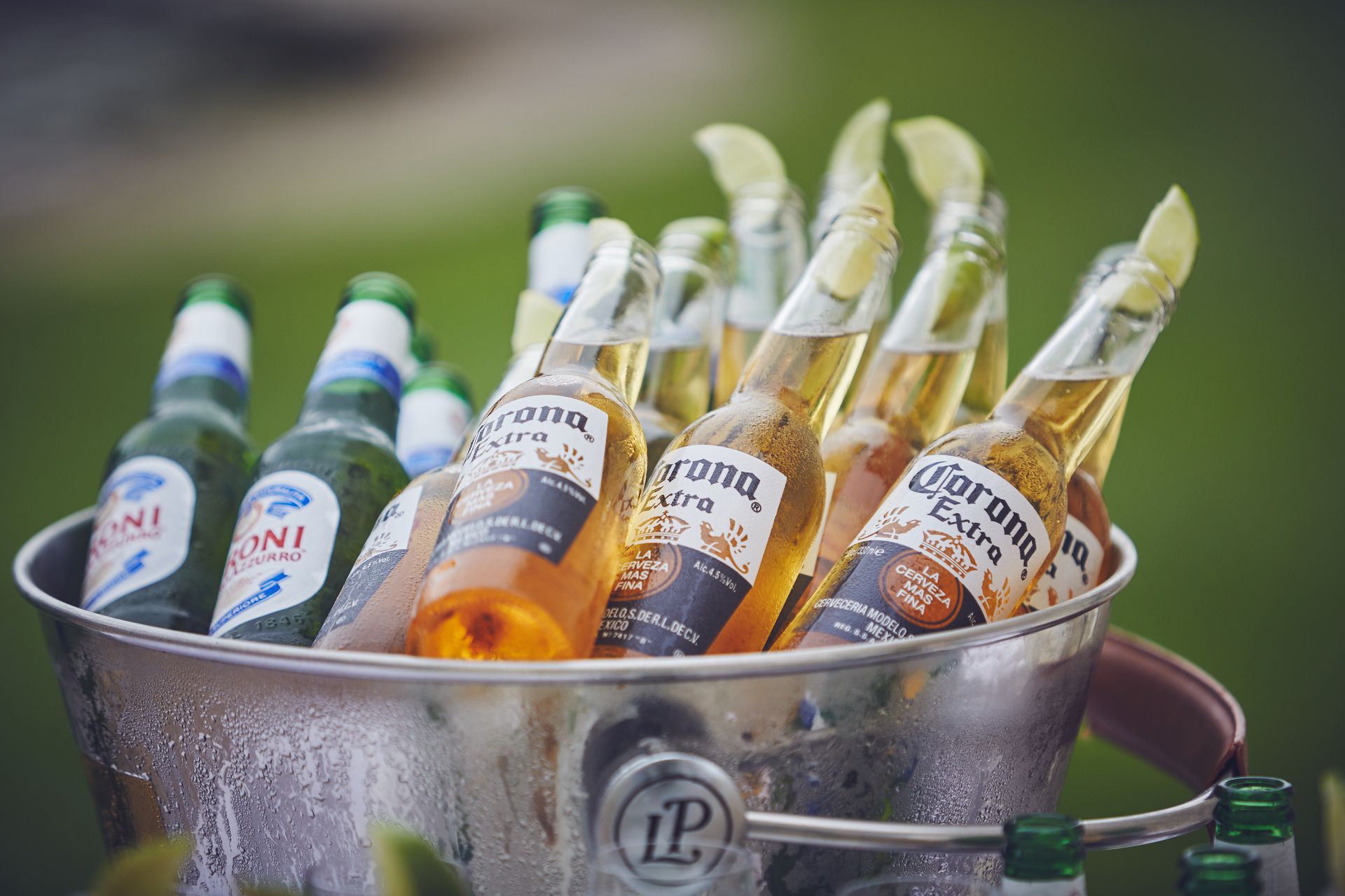 A bucket filled with bottles of beer and limes.