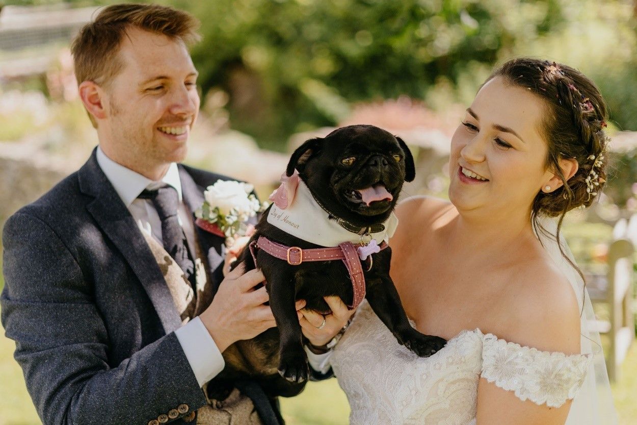 A bride and groom are holding a pug dog on their wedding day.