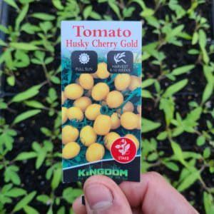 Holding a Seedling — Décor in Bonny Hills NSW