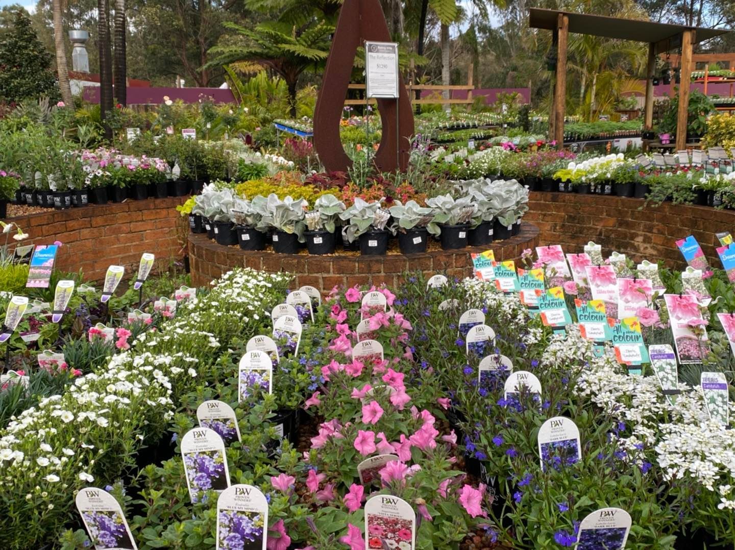 Nursery in Port Macquarie Region Bonny Hills Garden Centre
