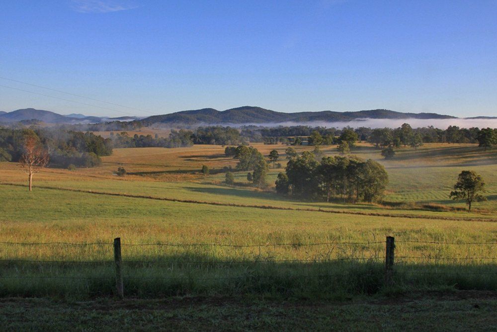 Rural Landscape Morning Scene — Garden Centre in Wauchope NSW