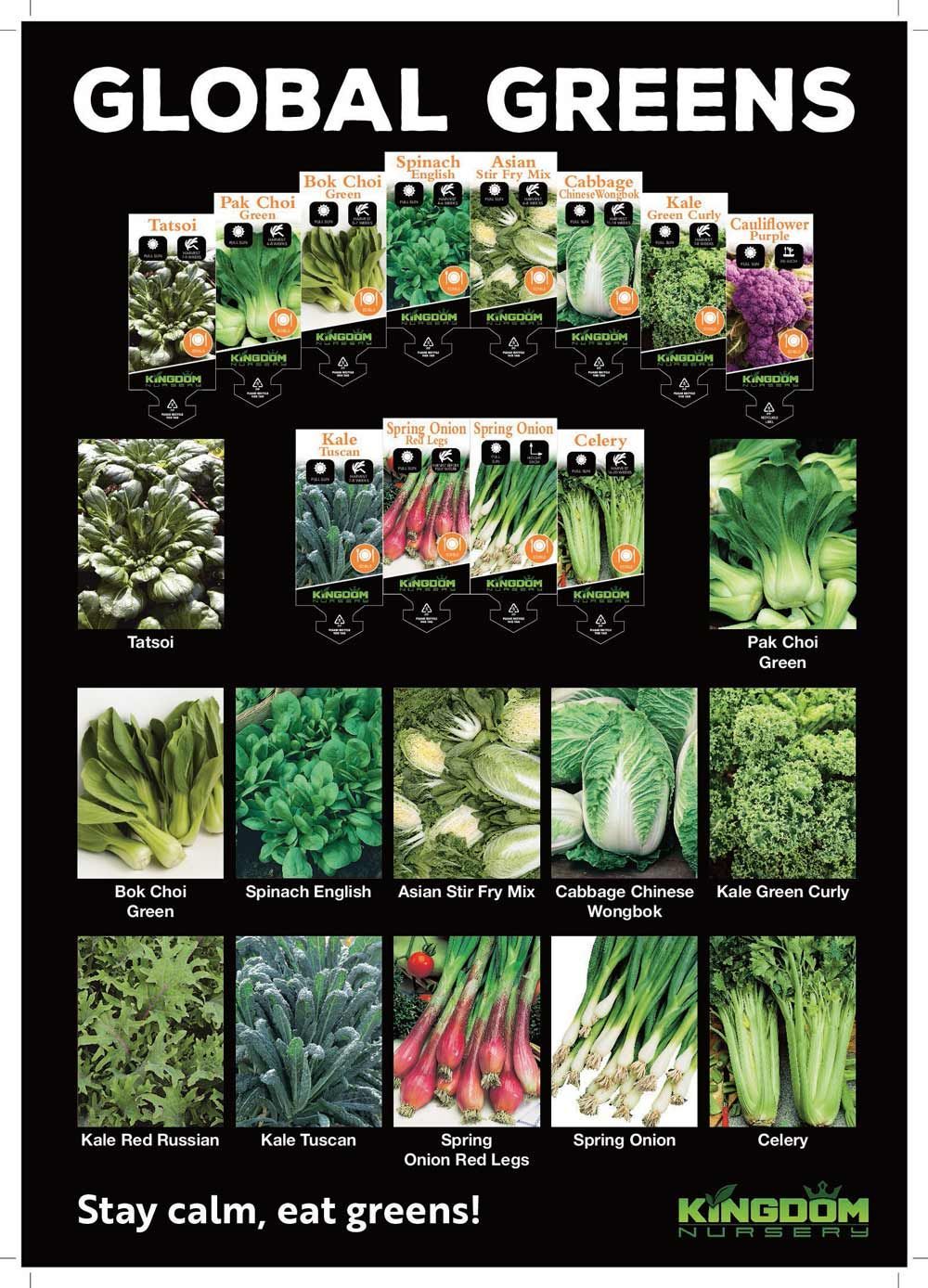 Herbs 100mm — Décor in Bonny Hills NSW