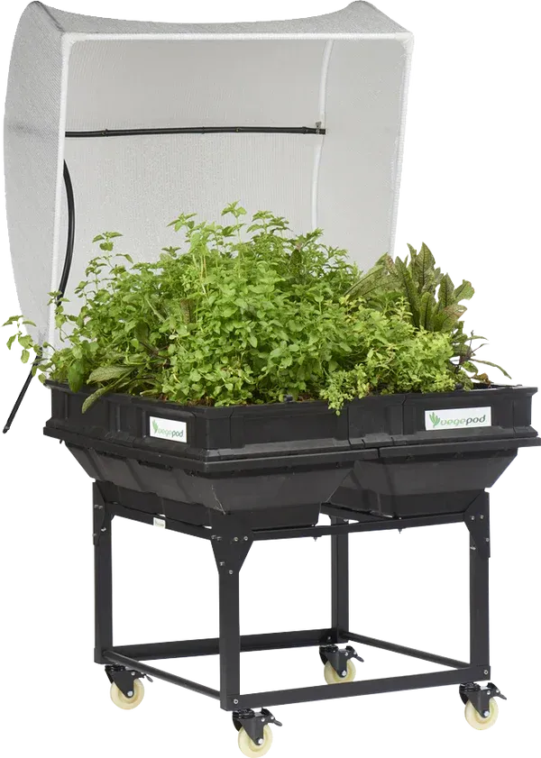 Medium Vegepod Stand with Plants — Décor in Bonny Hills NSW