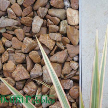 Wood Grain Polished Pebbles — Décor in Bonny Hills NSW