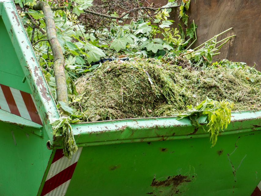 Bidone verde pieno di rifiuti da giardino, tra cui erba tagliata, rami e foglie.