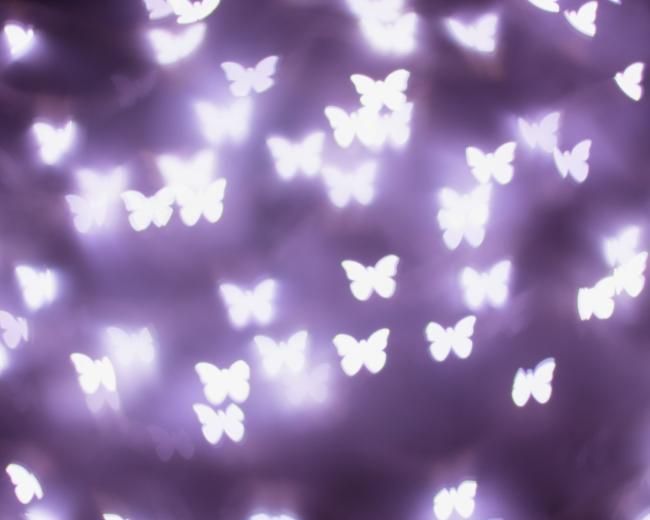 Field of Backlit Purple Butterflies