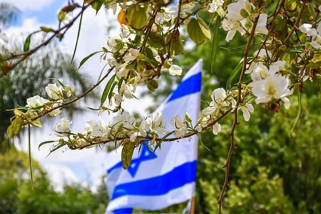 Israel flag behind almond blossoms