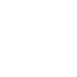 Car icon