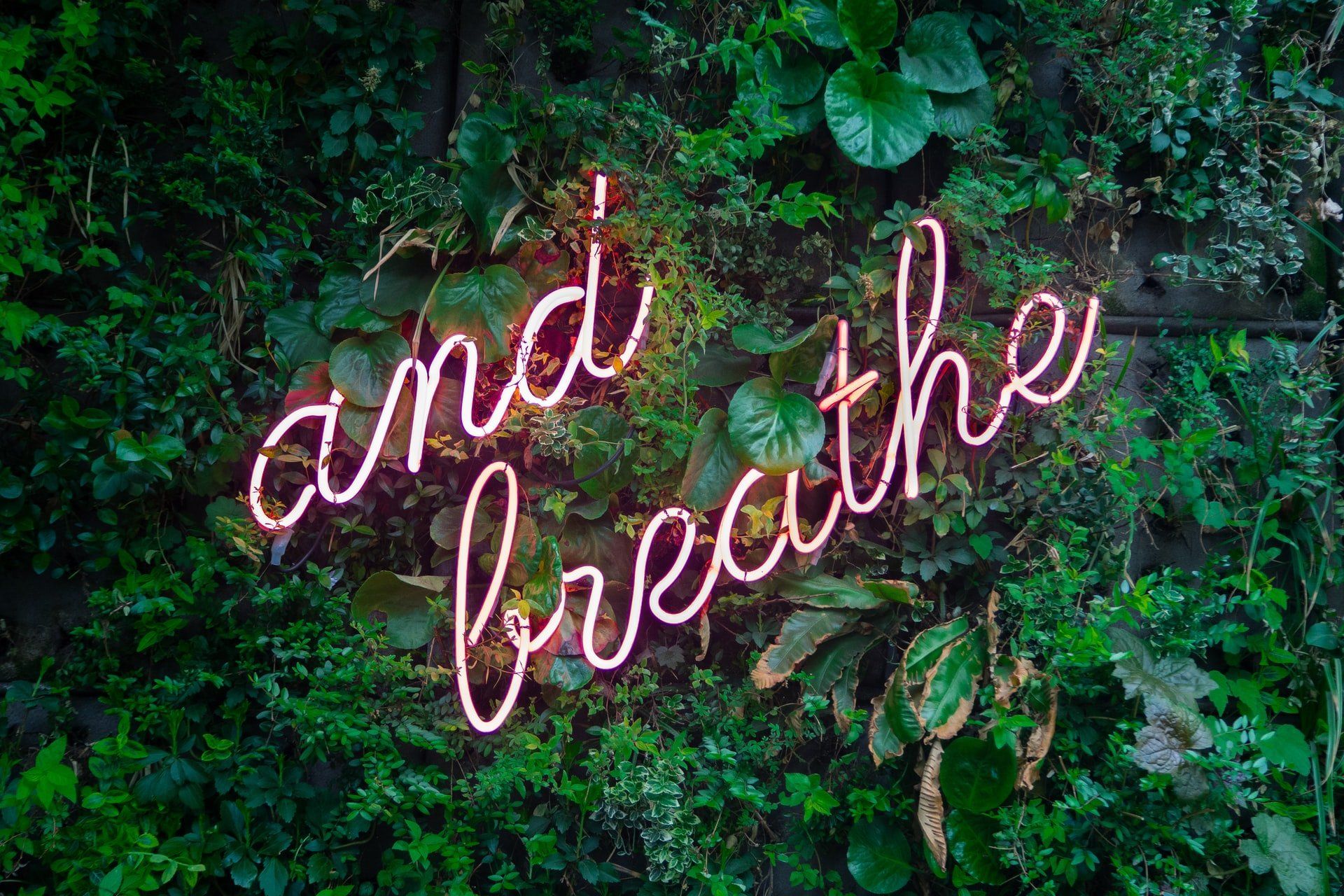 Ways to relax, renew, and recharge
