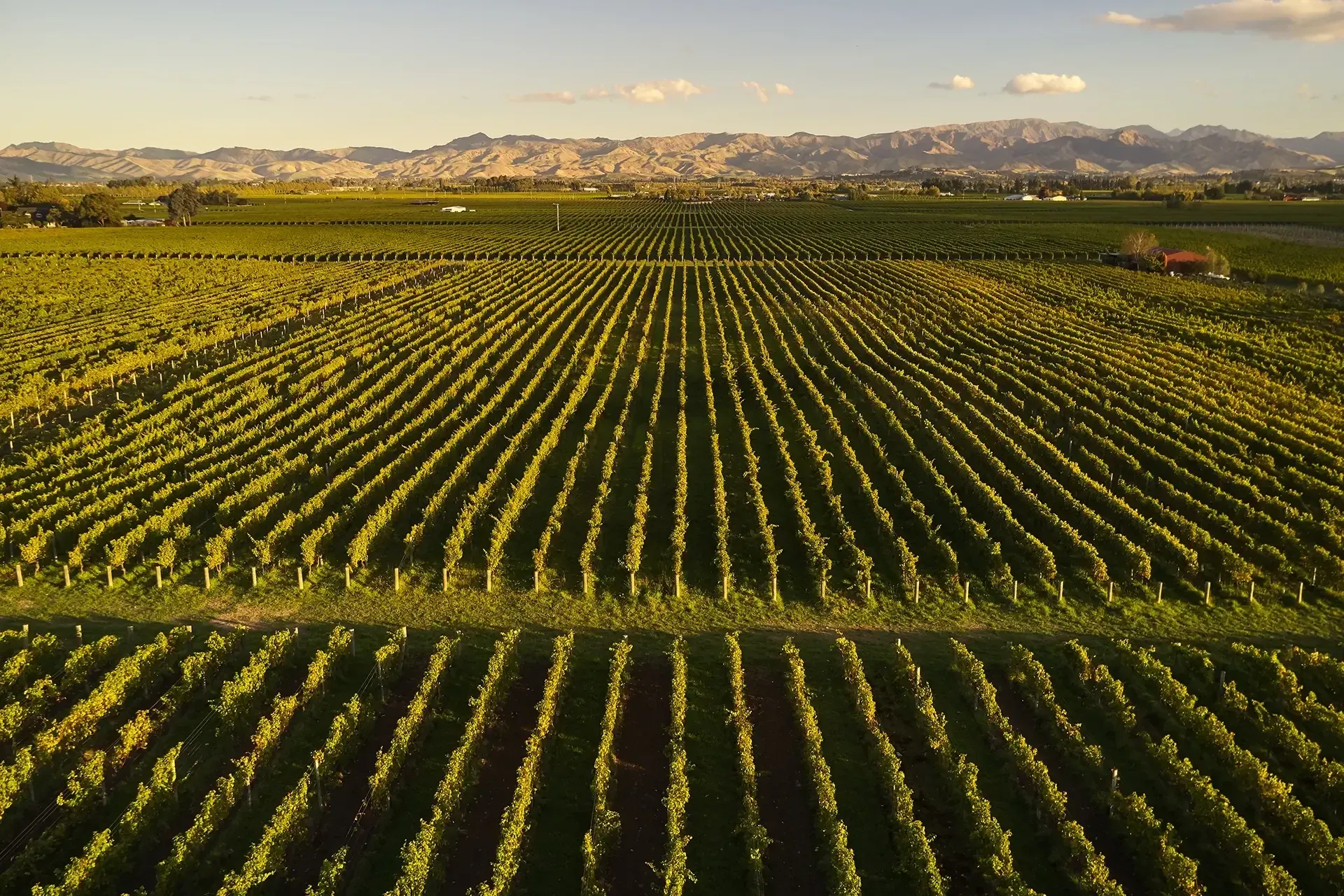 Marlborough’s Unique Blend of Wine and Aviation