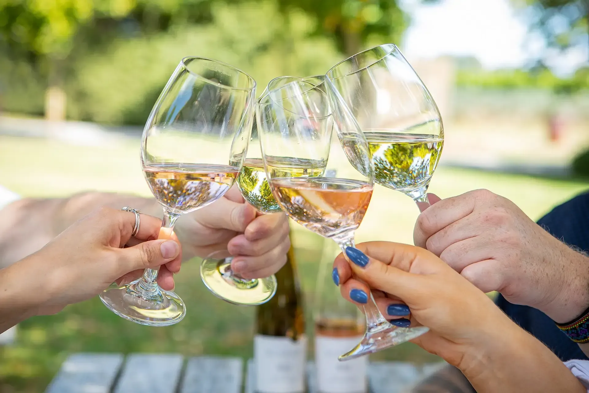 Our top picks for Restaurants and Cellar Doors in Marlborough