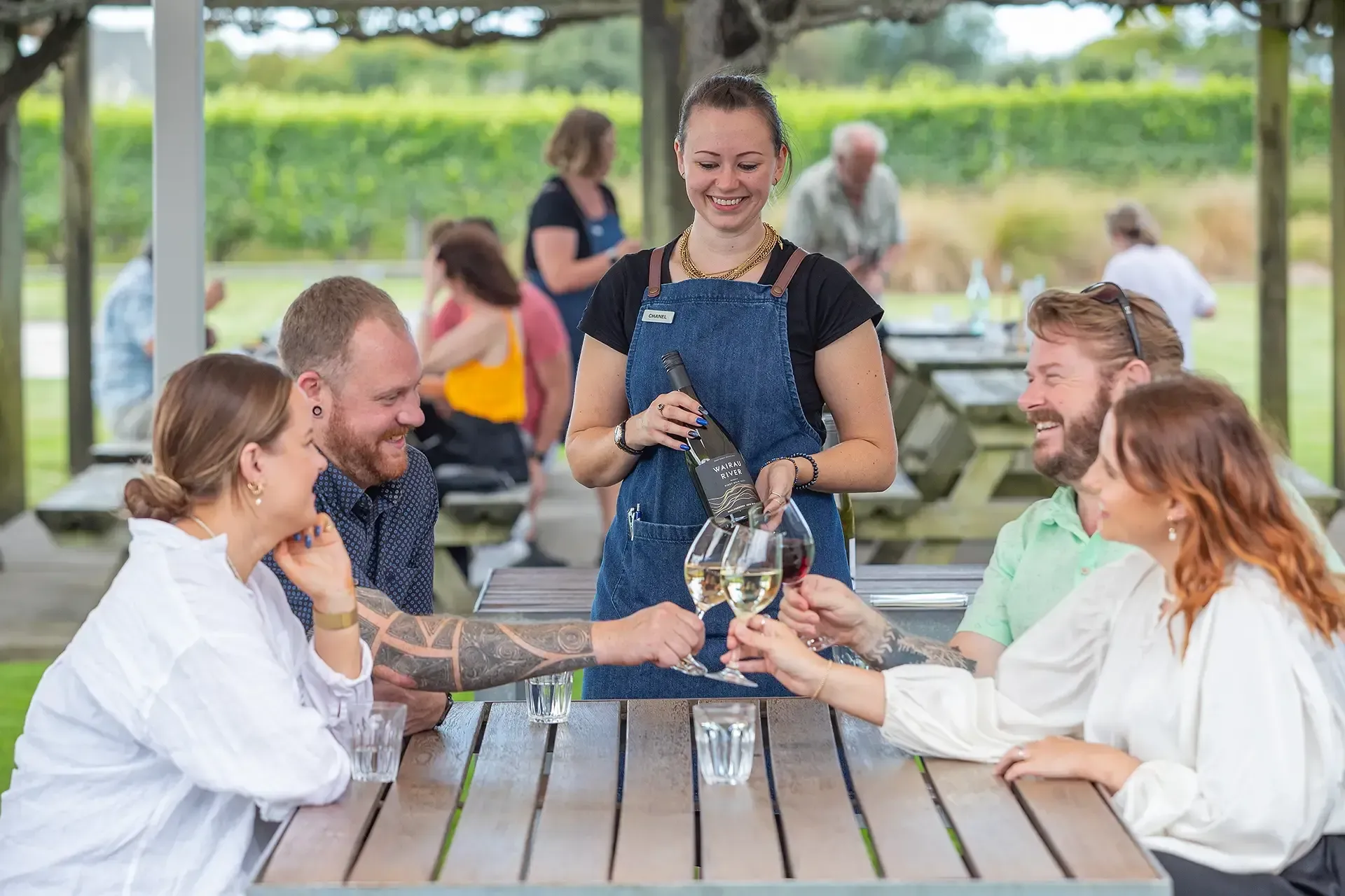 Vineyards and Wine Tasting in Marlborough