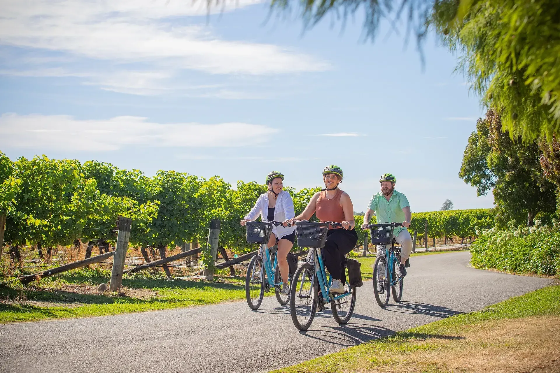 Cycling Wine Tours in Marlborough