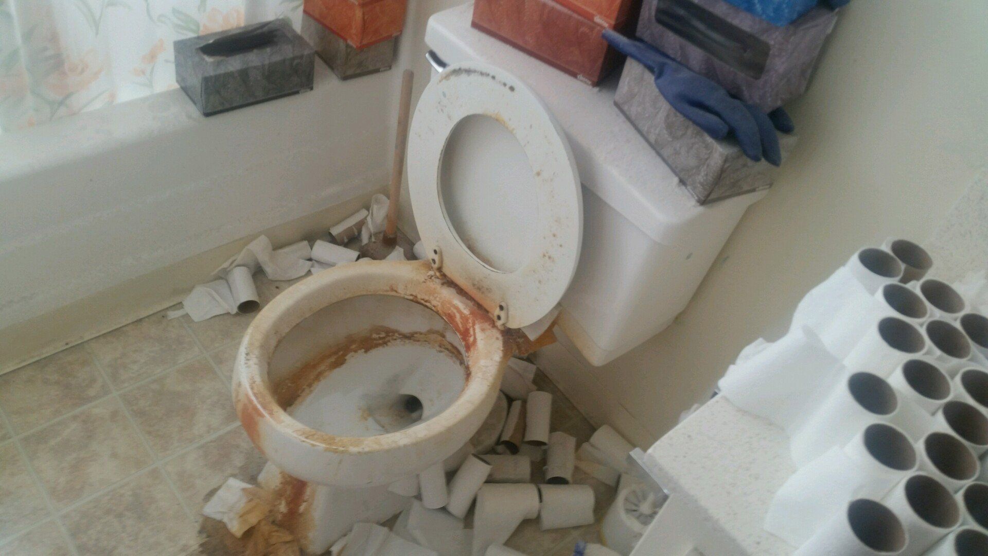 Before Toilet Cleaning — Yucaipa, CA — Sunshine Janitorial Service