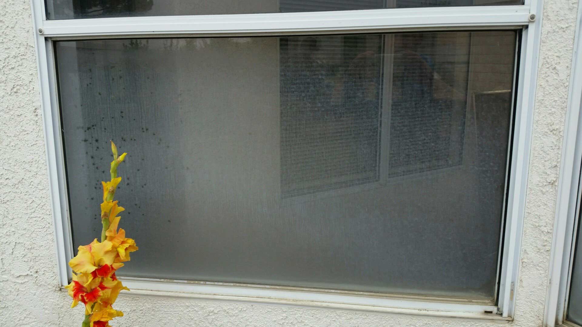 Before Cleaning the House Window — Yucaipa, CA — Sunshine Janitorial Service