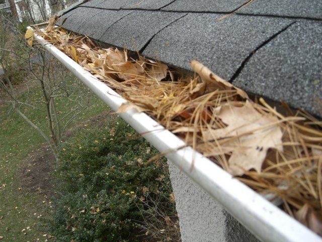 Leaves in Gutter — Yucaipa, CA — Sunshine Janitorial Service