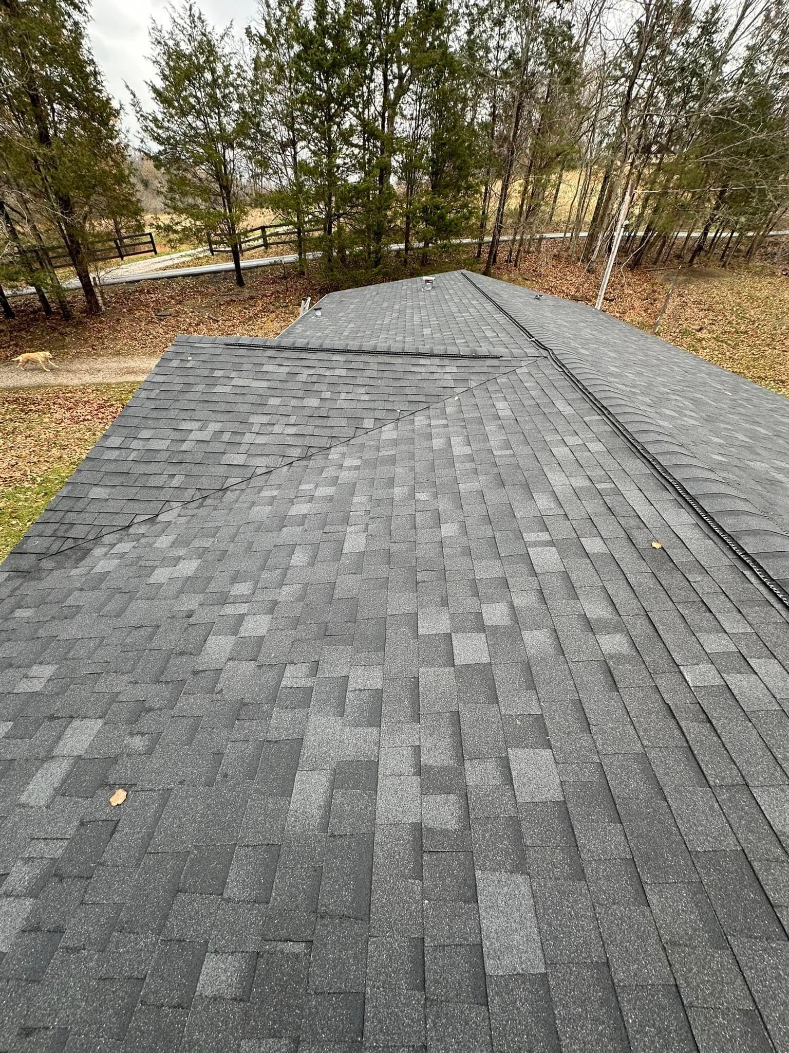 Dark shingle roof, some missing, with trees and fall foliage in background.