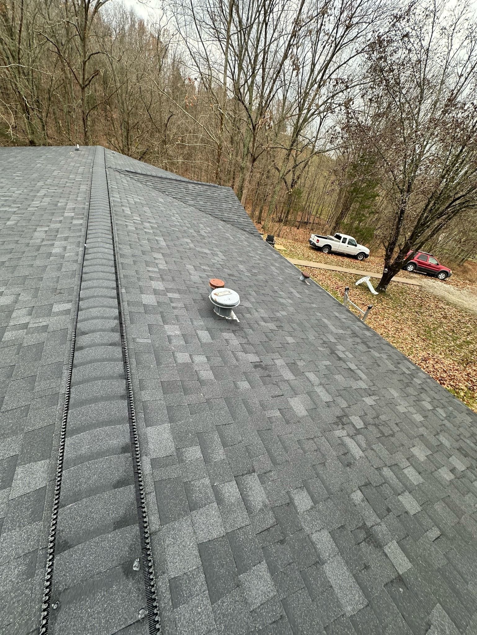 A bird is sitting on top of a roof in the woods.