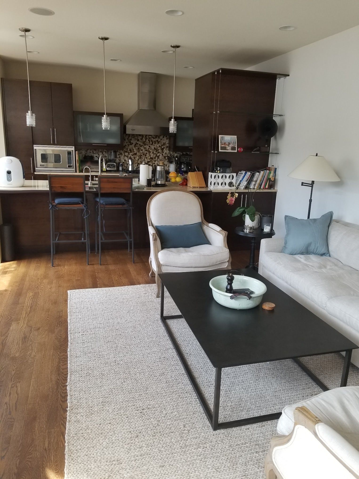 Open-concept living space with kitchen and living room. Dark cabinets, wooden floors, beige rug, white sofa.