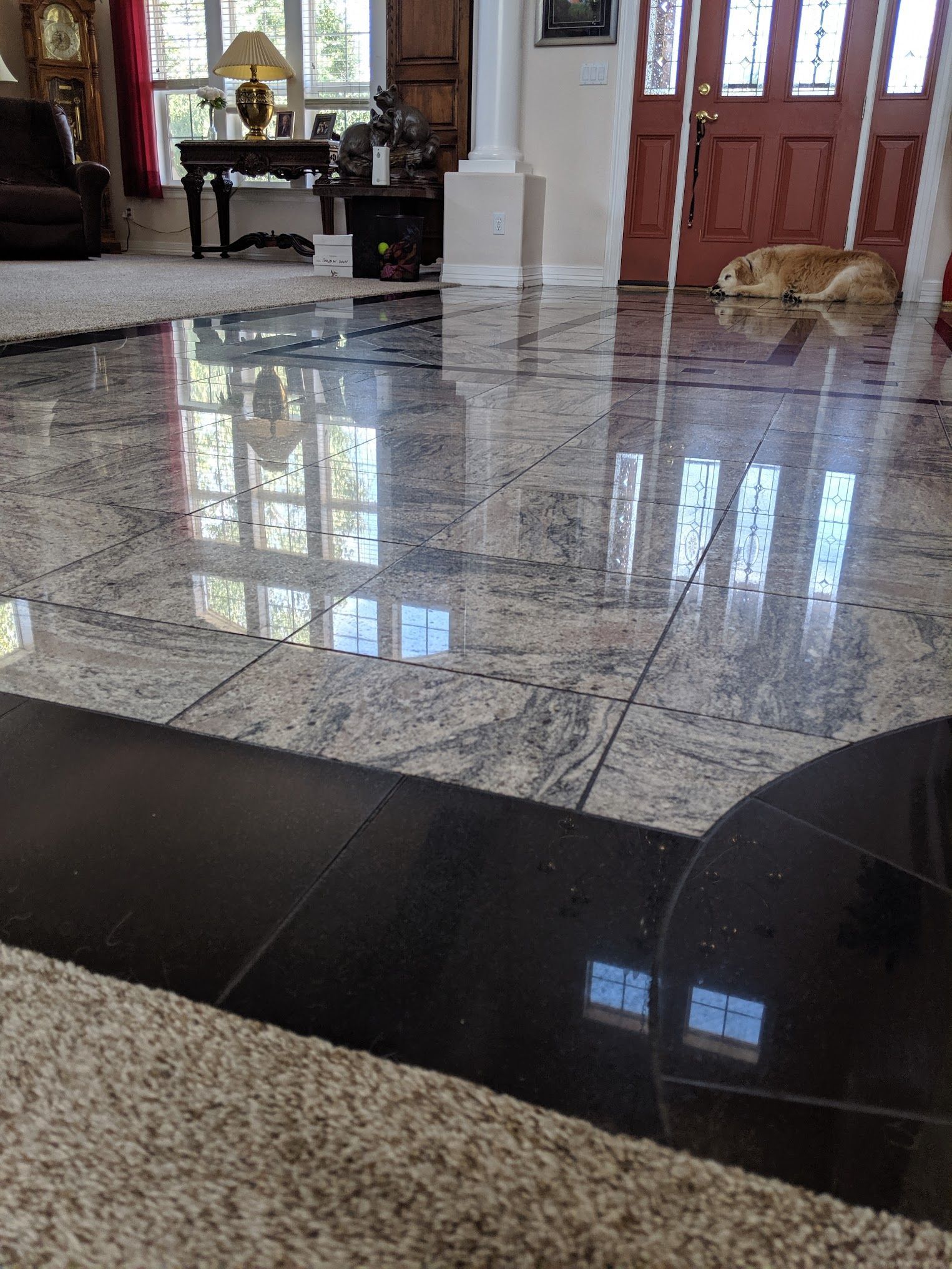 Shiny granite floor reflects windows. A dog rests near a red door.