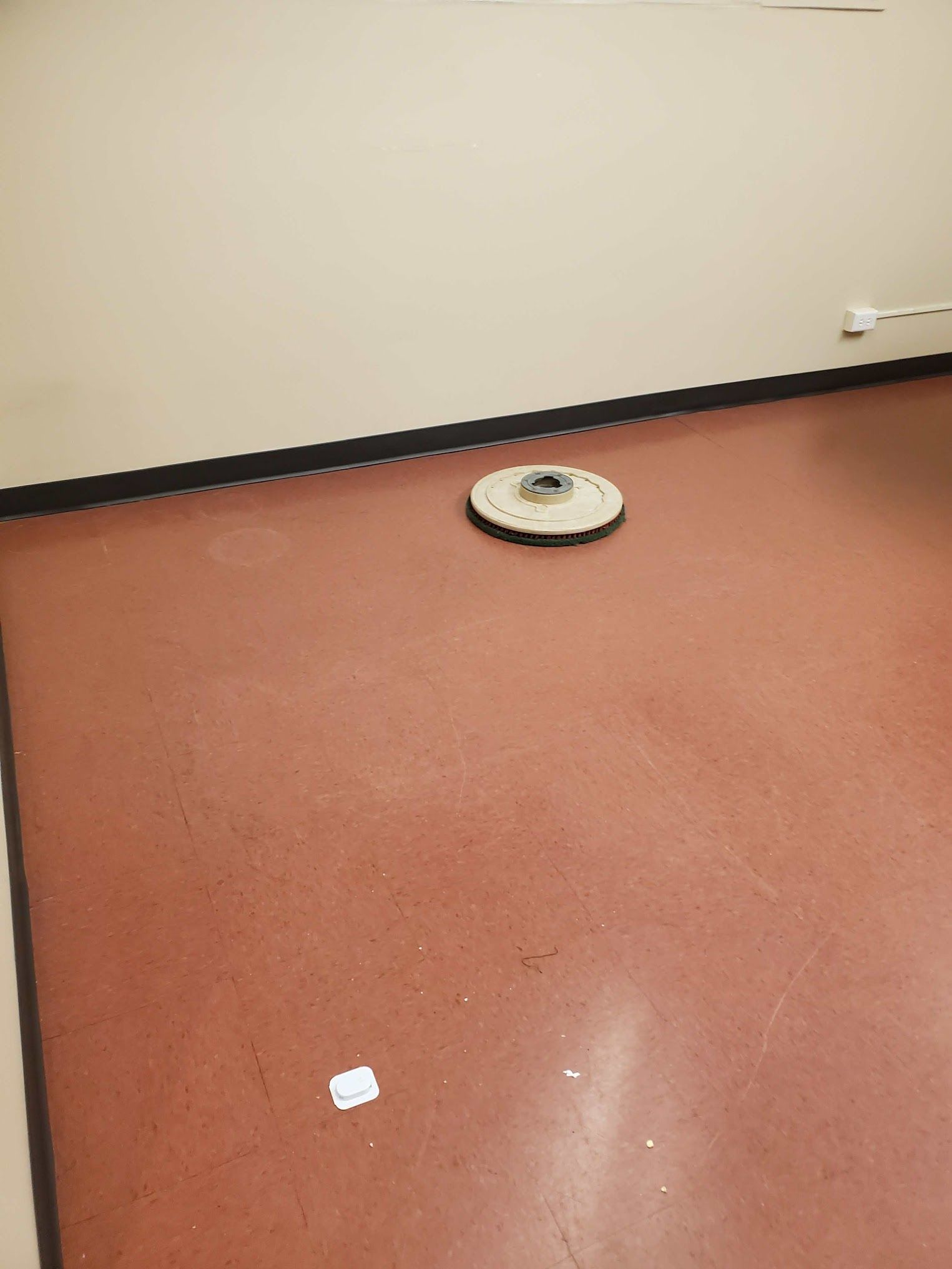Red floor with a toilet flange and a tan wall.