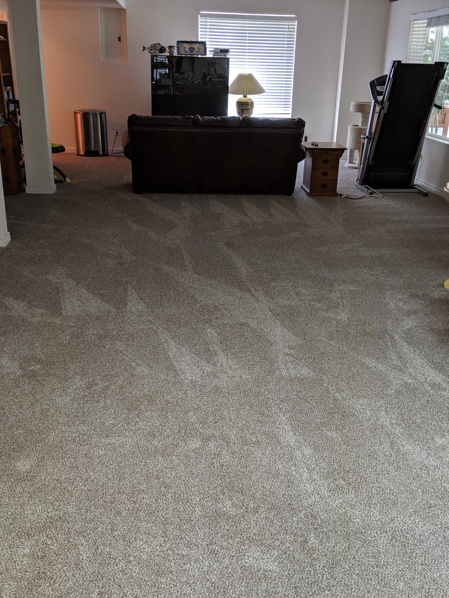 A living room with gray carpet, a dark brown sofa, and a window with blinds.