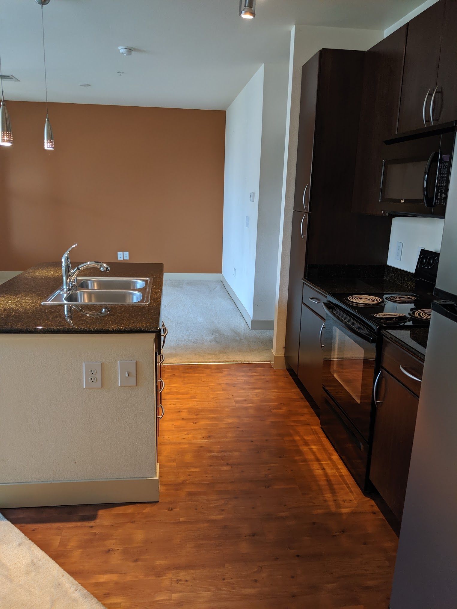 Kitchen with dark cabinets, granite countertops, and a view into a living area with brown wall.