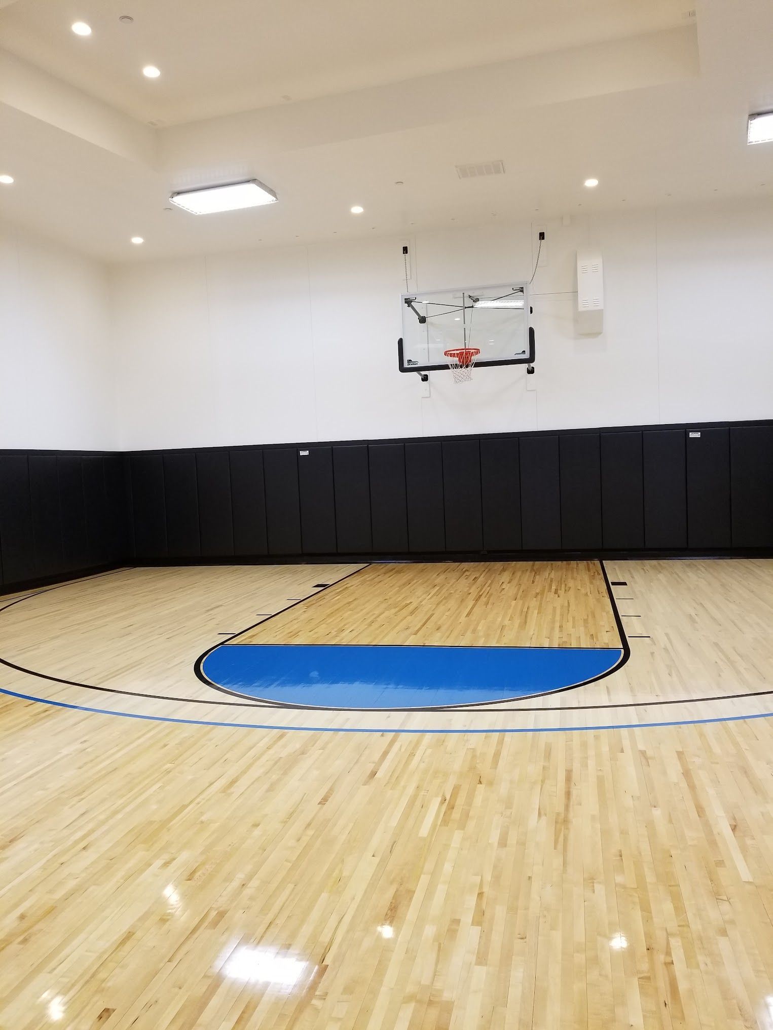 Indoor basketball court with black padded walls, wooden floor, and hoop.