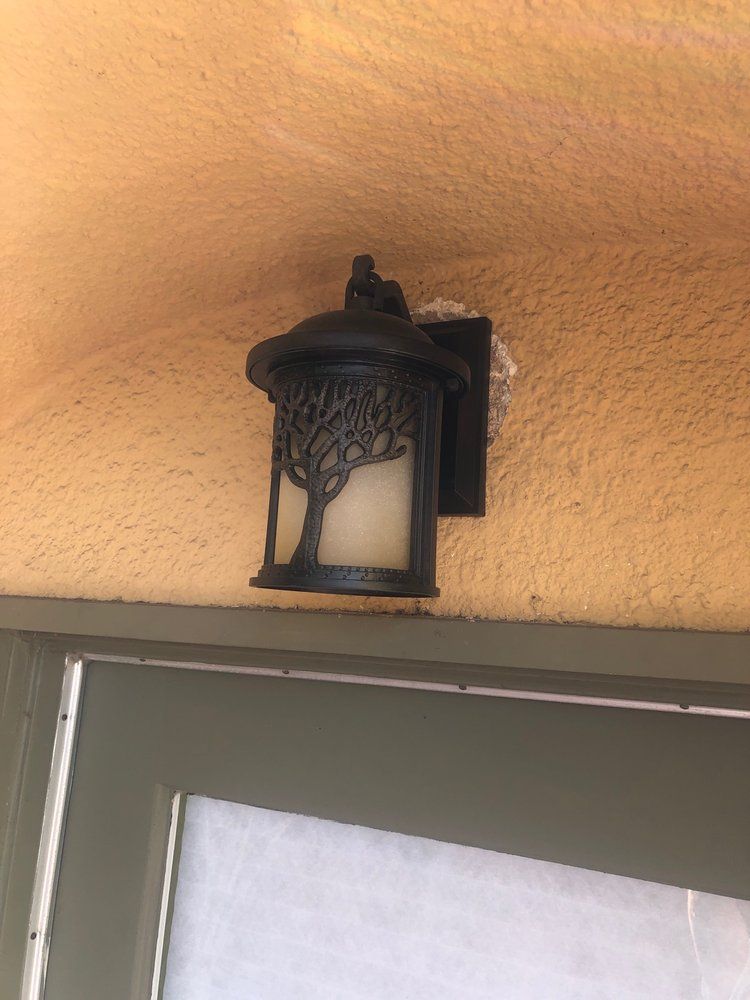 A light on the side of a door with a tree on it.